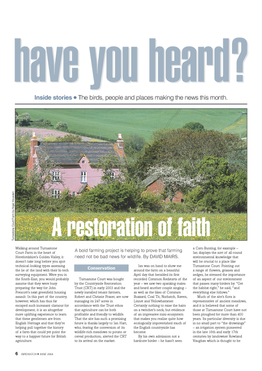 Birdwatch Magazine Preview Pages