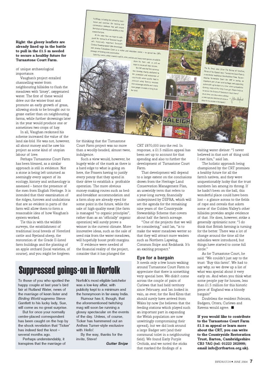 Birdwatch Magazine Preview Pages