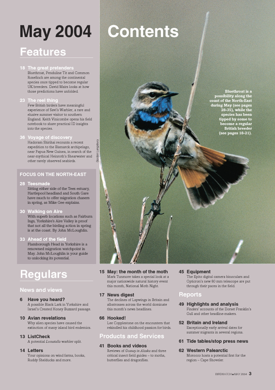 Birdwatch Magazine Preview Pages