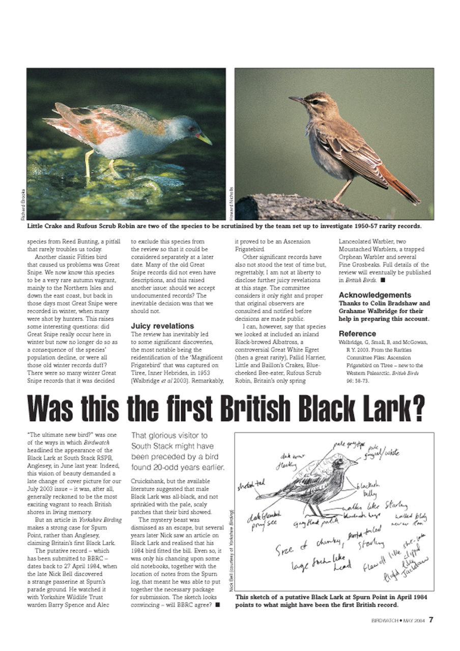 Birdwatch Magazine Preview Pages