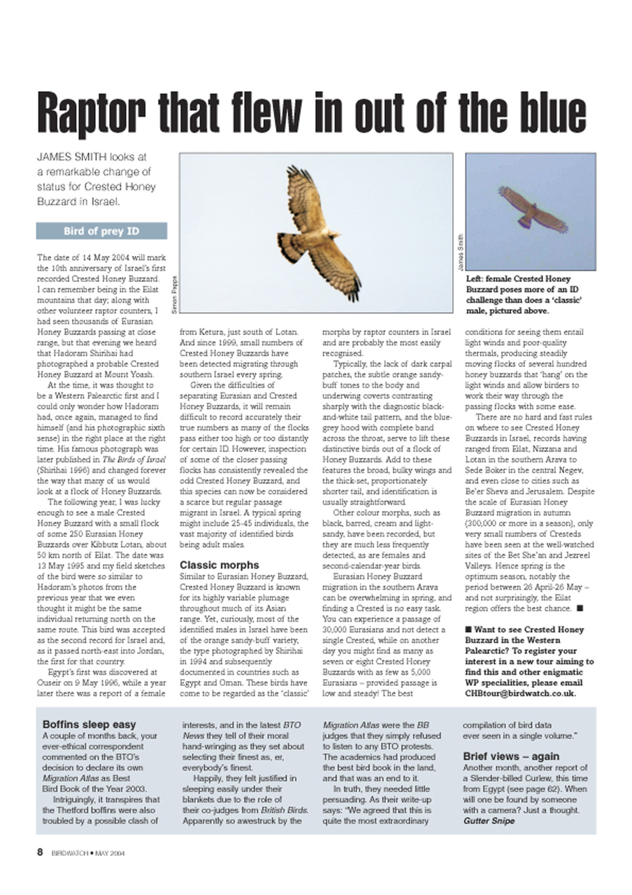 Birdwatch Magazine Preview Pages