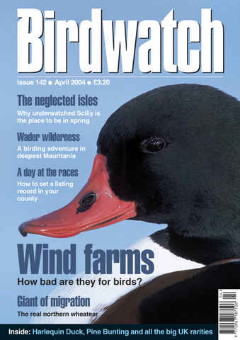 Birdwatch Magazine issue April 2004