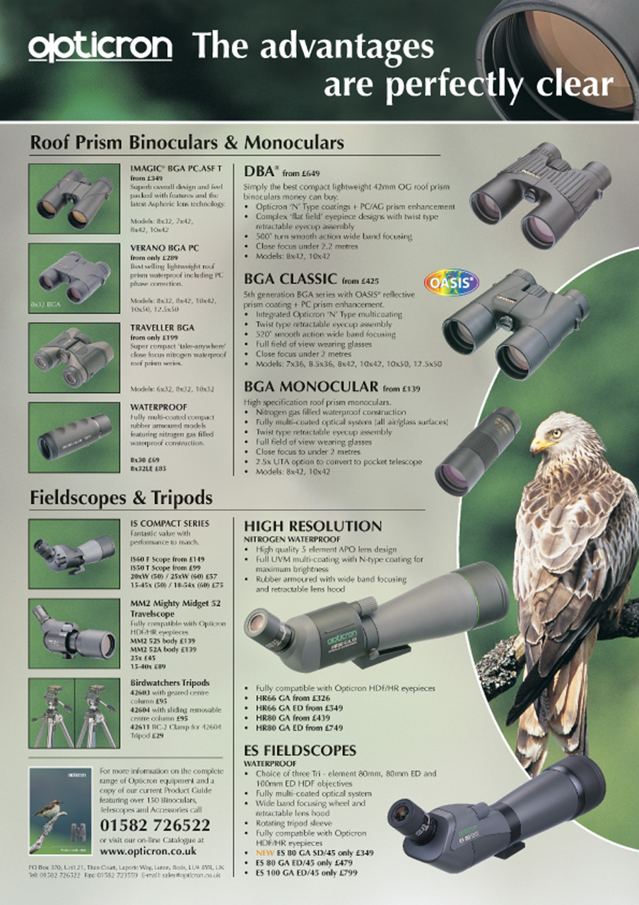 Birdwatch Magazine Preview Pages