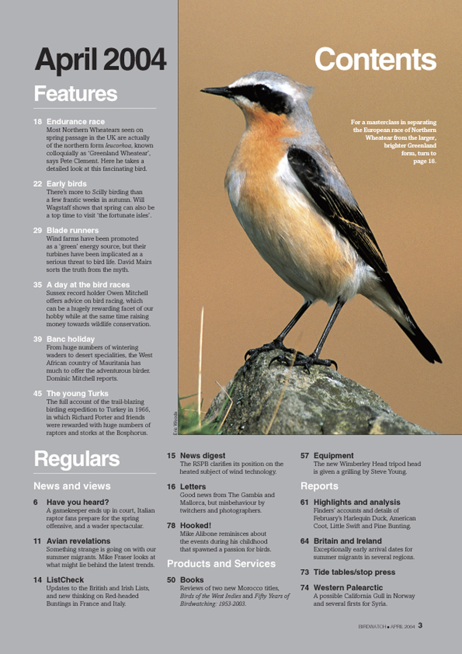 Birdwatch Magazine Preview Pages
