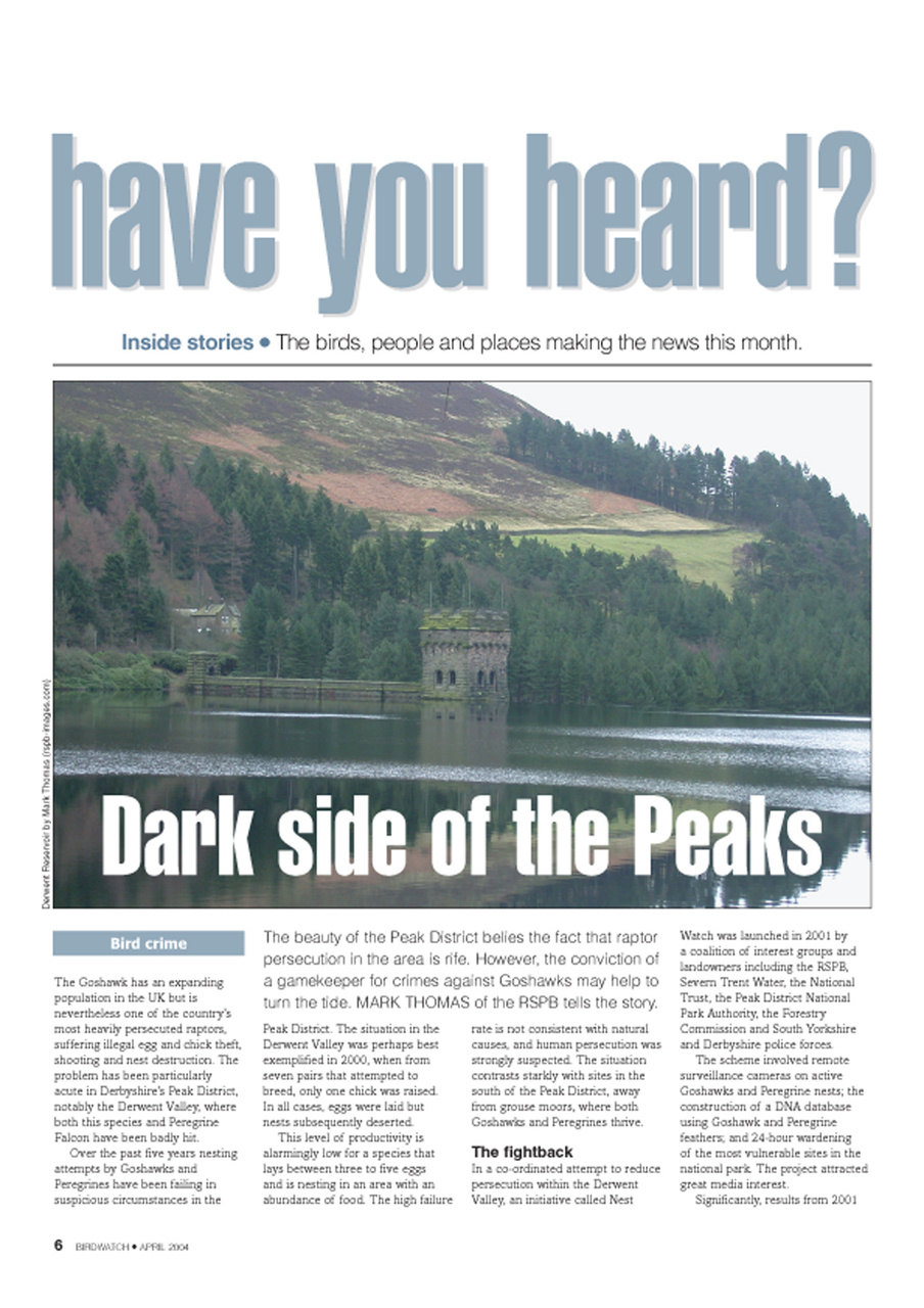 Birdwatch Magazine Preview Pages