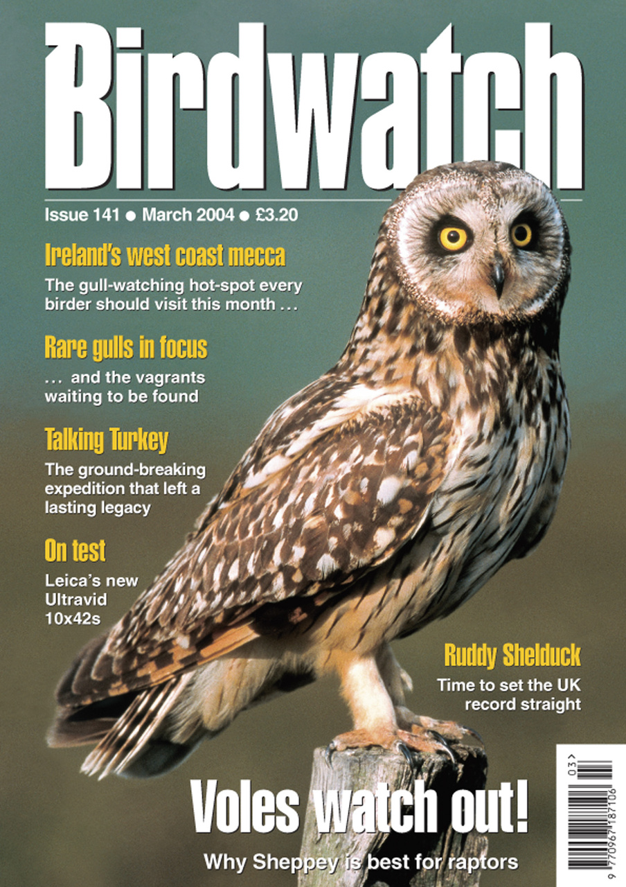 Birdwatch Magazine Preview Pages