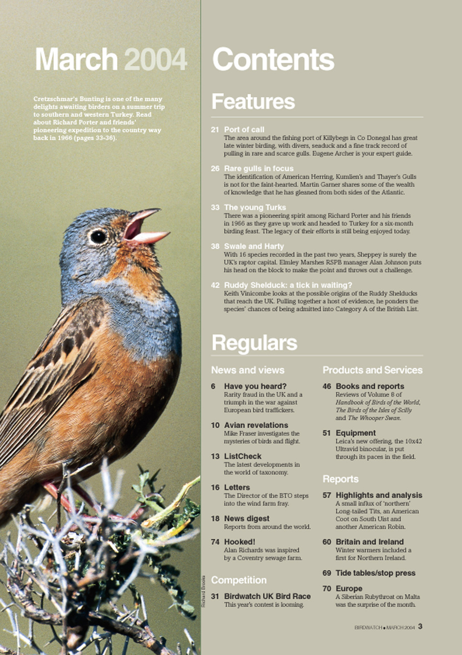 Birdwatch Magazine Preview Pages