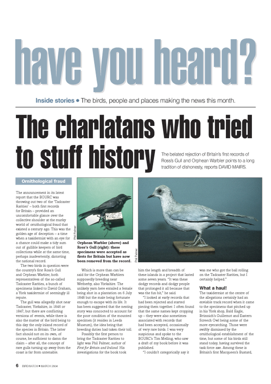 Birdwatch Magazine Preview Pages