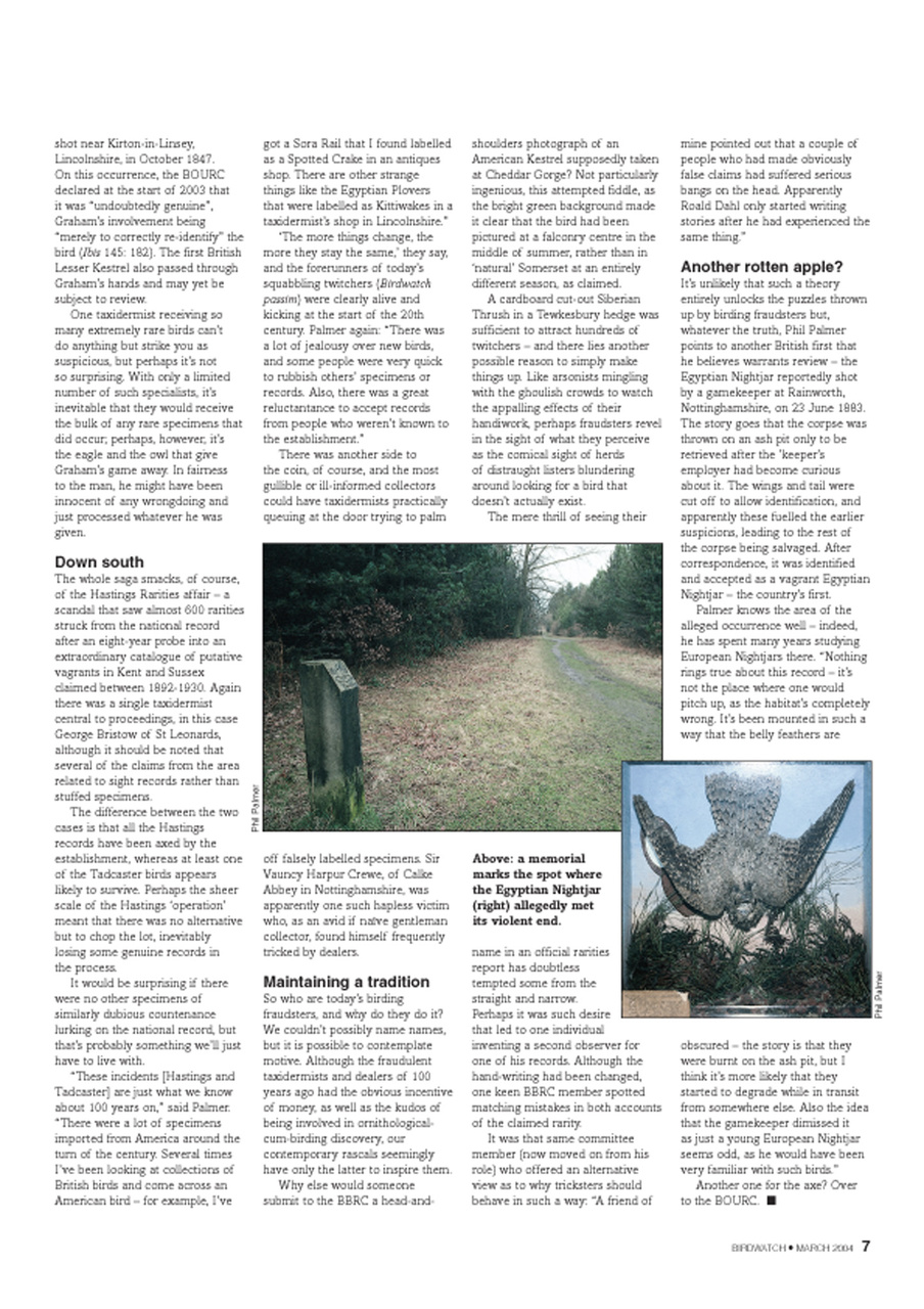 Birdwatch Magazine Preview Pages