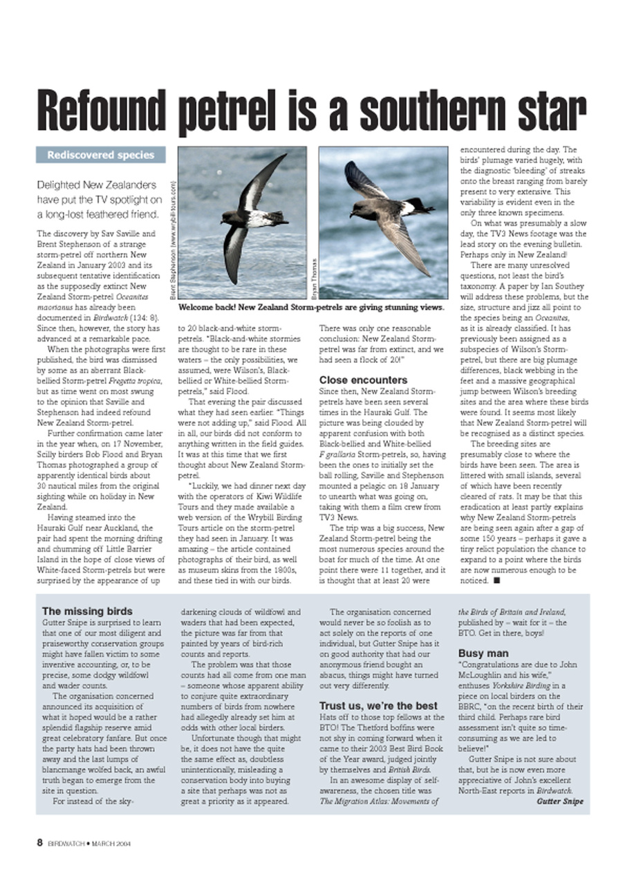 Birdwatch Magazine Preview Pages