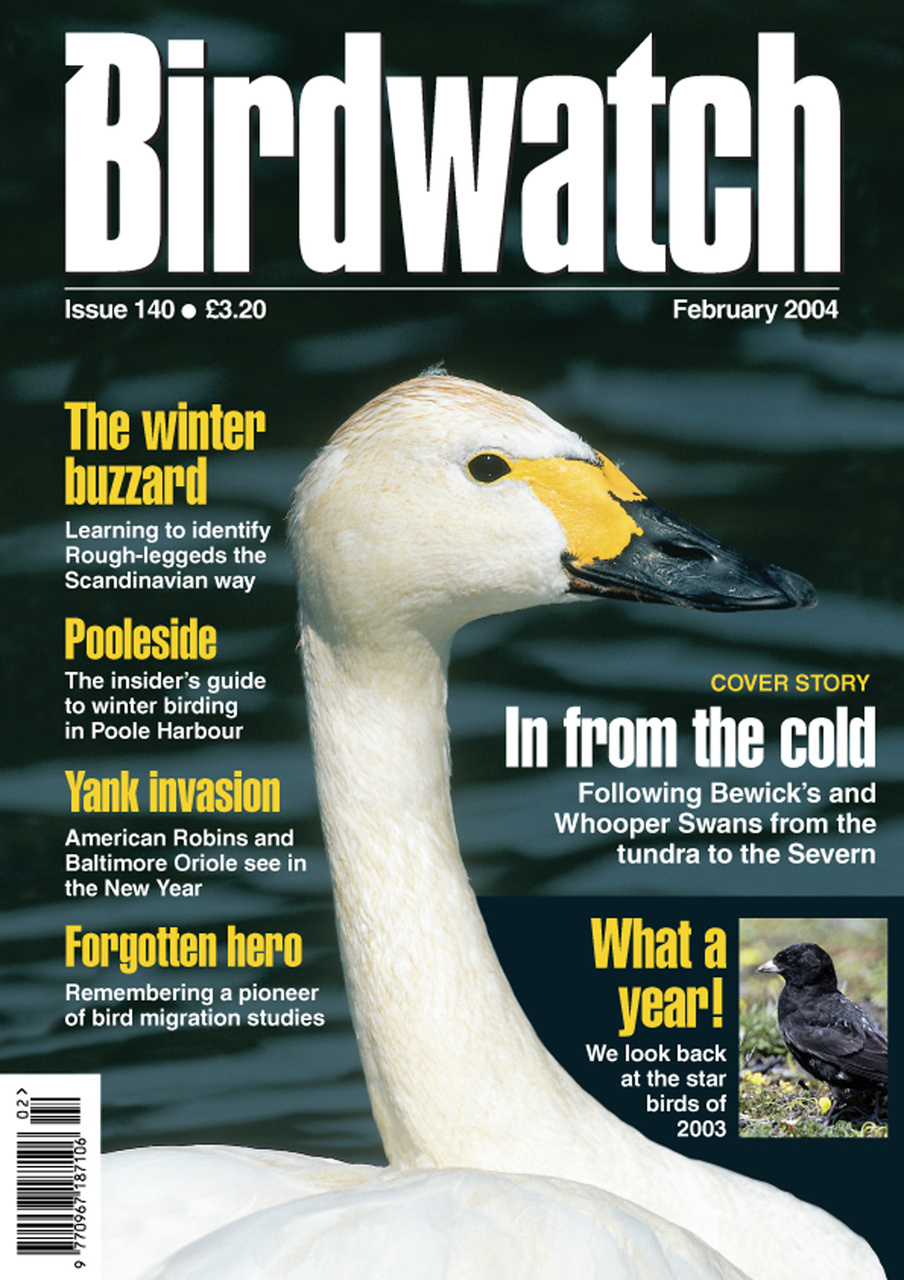 Birdwatch Magazine Preview Pages