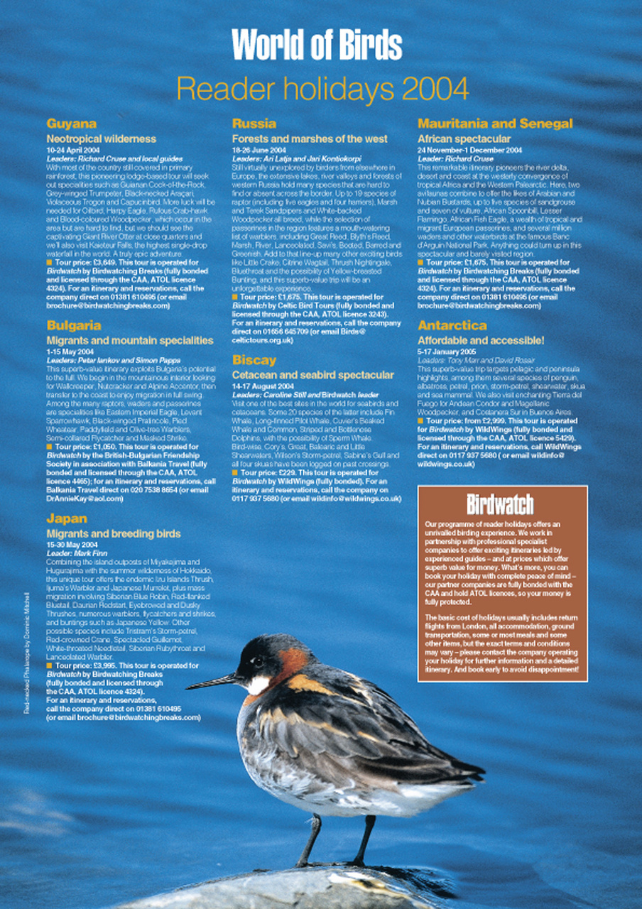 Birdwatch Magazine Preview Pages