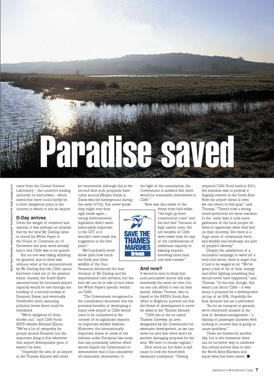 Birdwatch Magazine Preview Pages