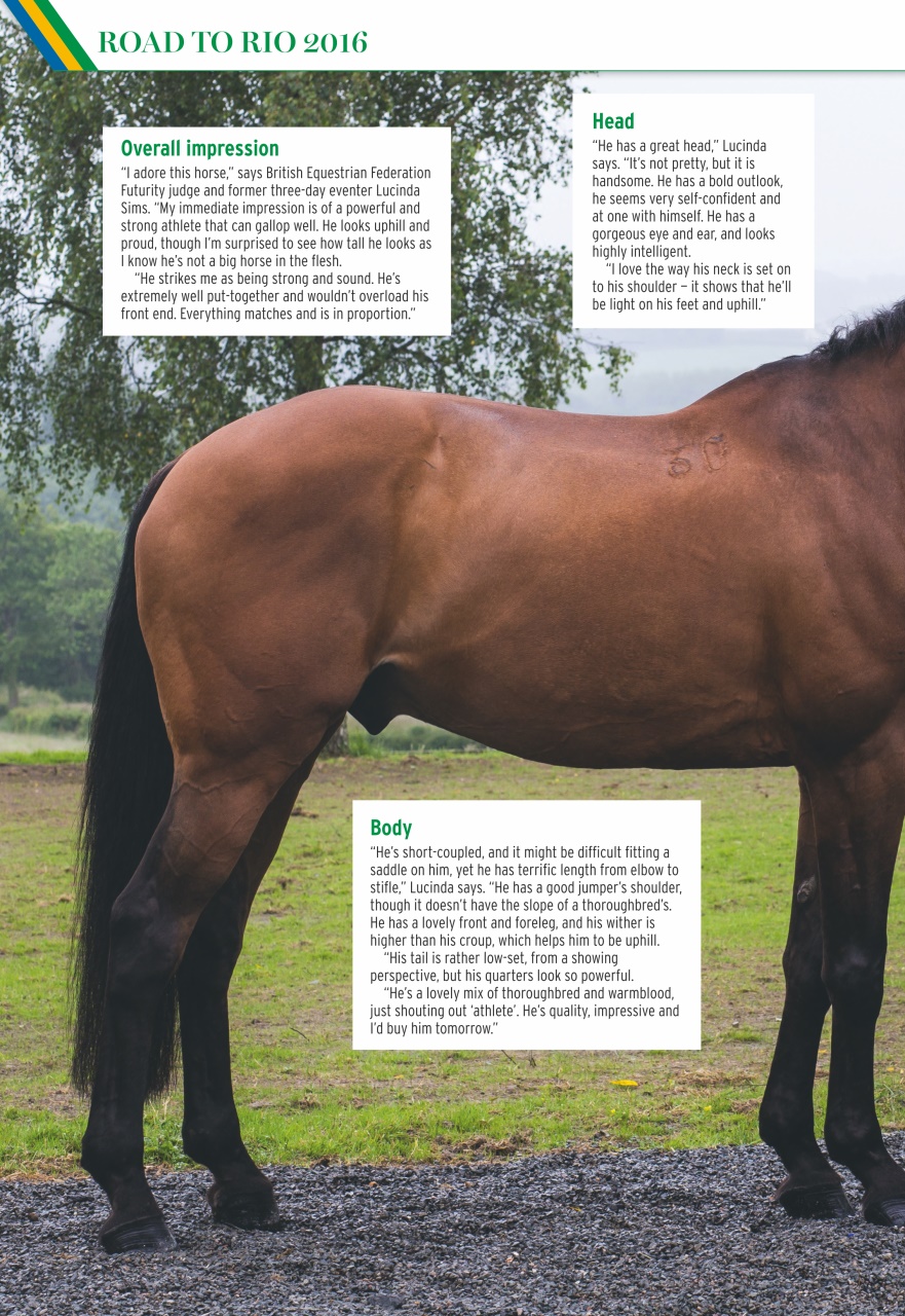 Horse & Hound Preview Pages
