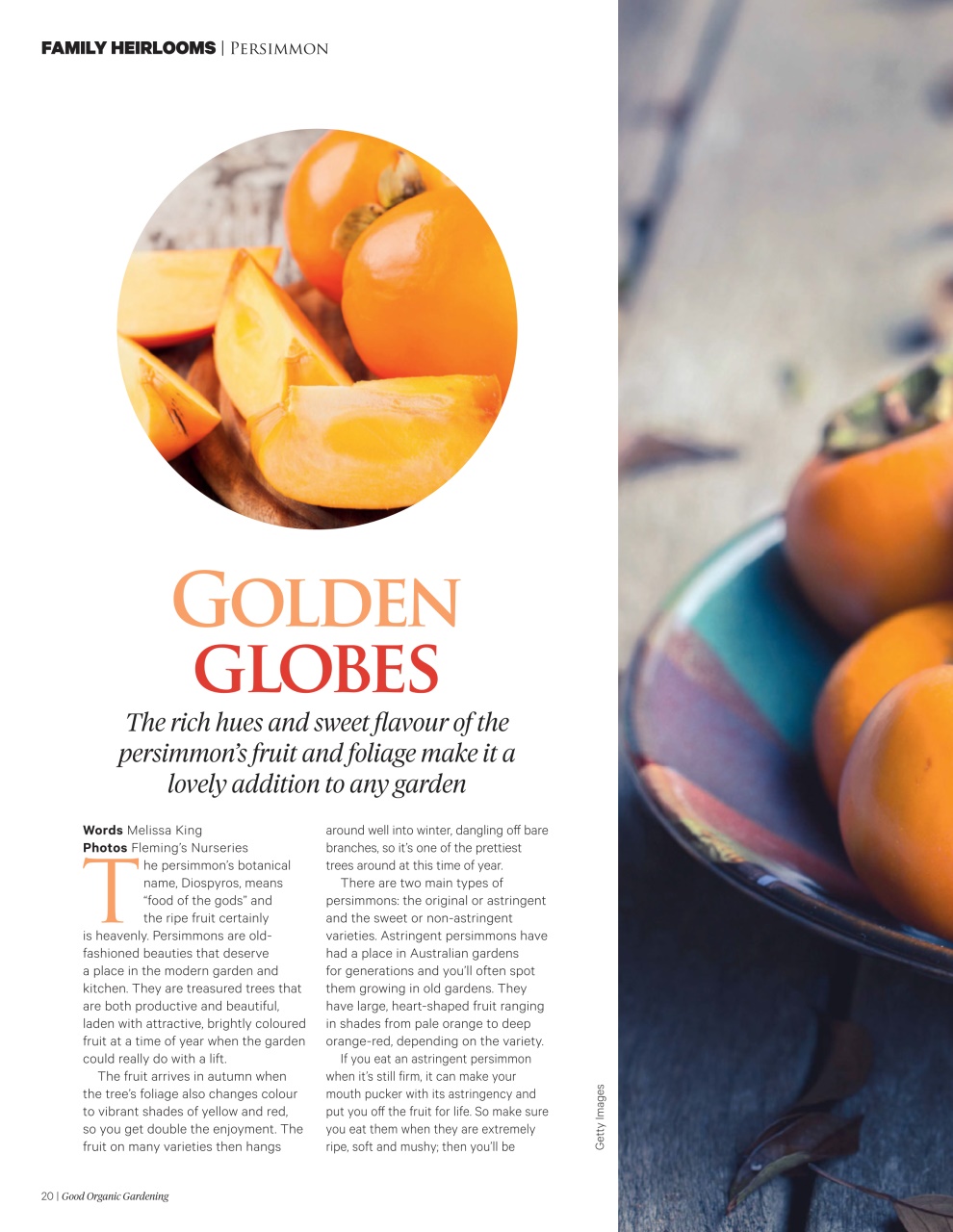 Good Organic Gardening Preview Pages