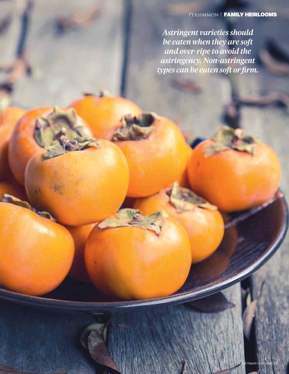 Good Organic Gardening Preview Pages