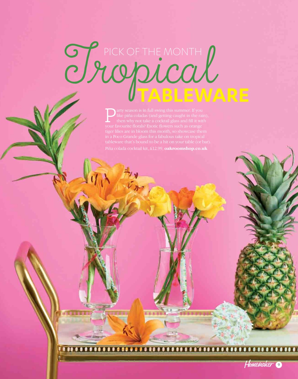 Homemaker Preview Pages