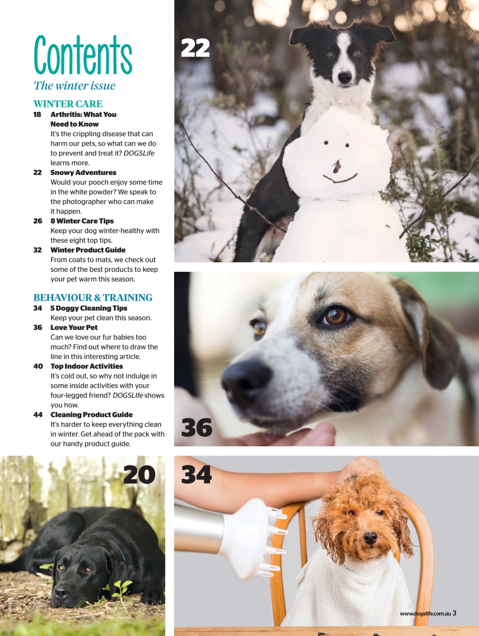 Dogs Life Preview Pages