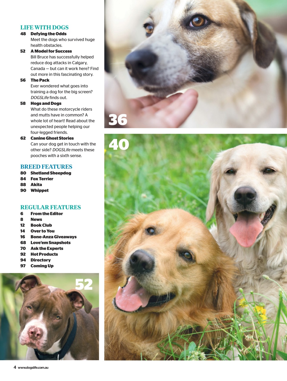 Dogs Life Preview Pages