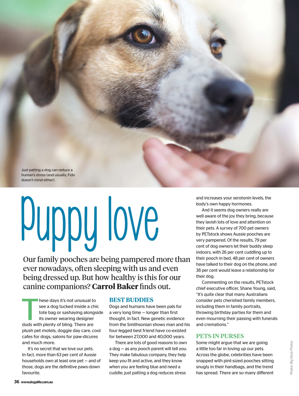 Dogs Life Preview Pages