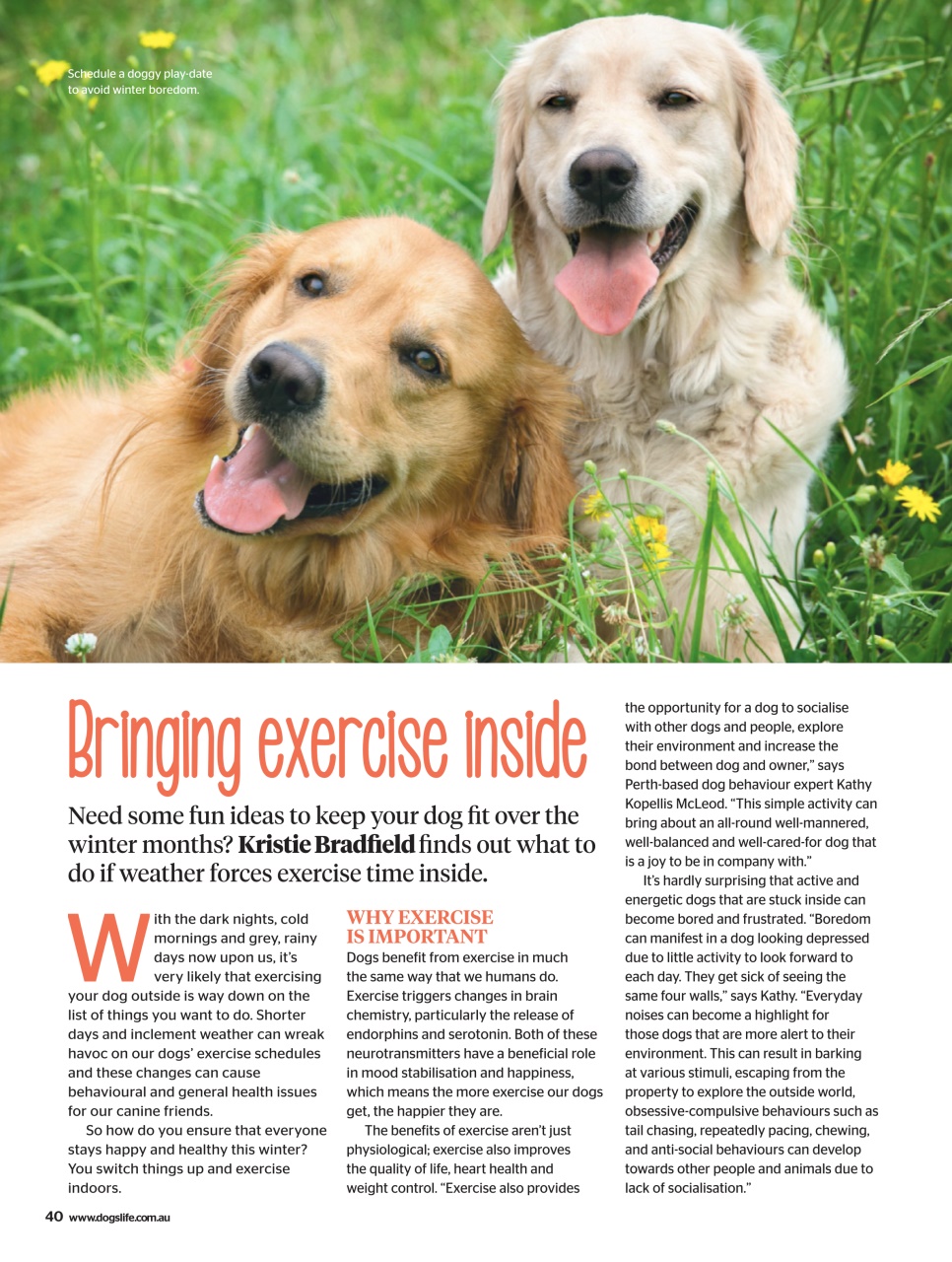 Dogs Life Preview Pages