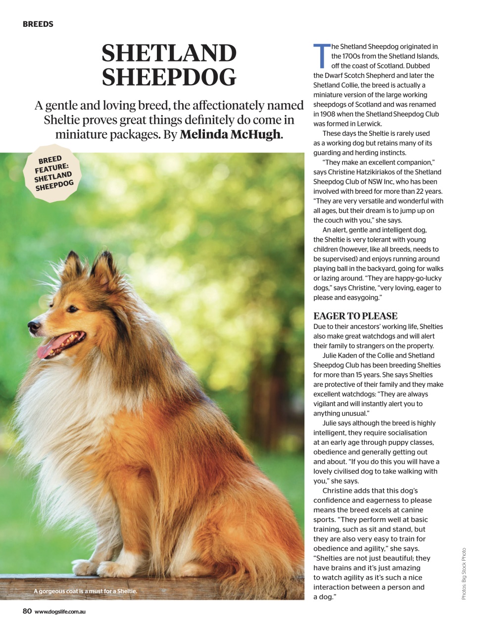 Dogs Life Preview Pages