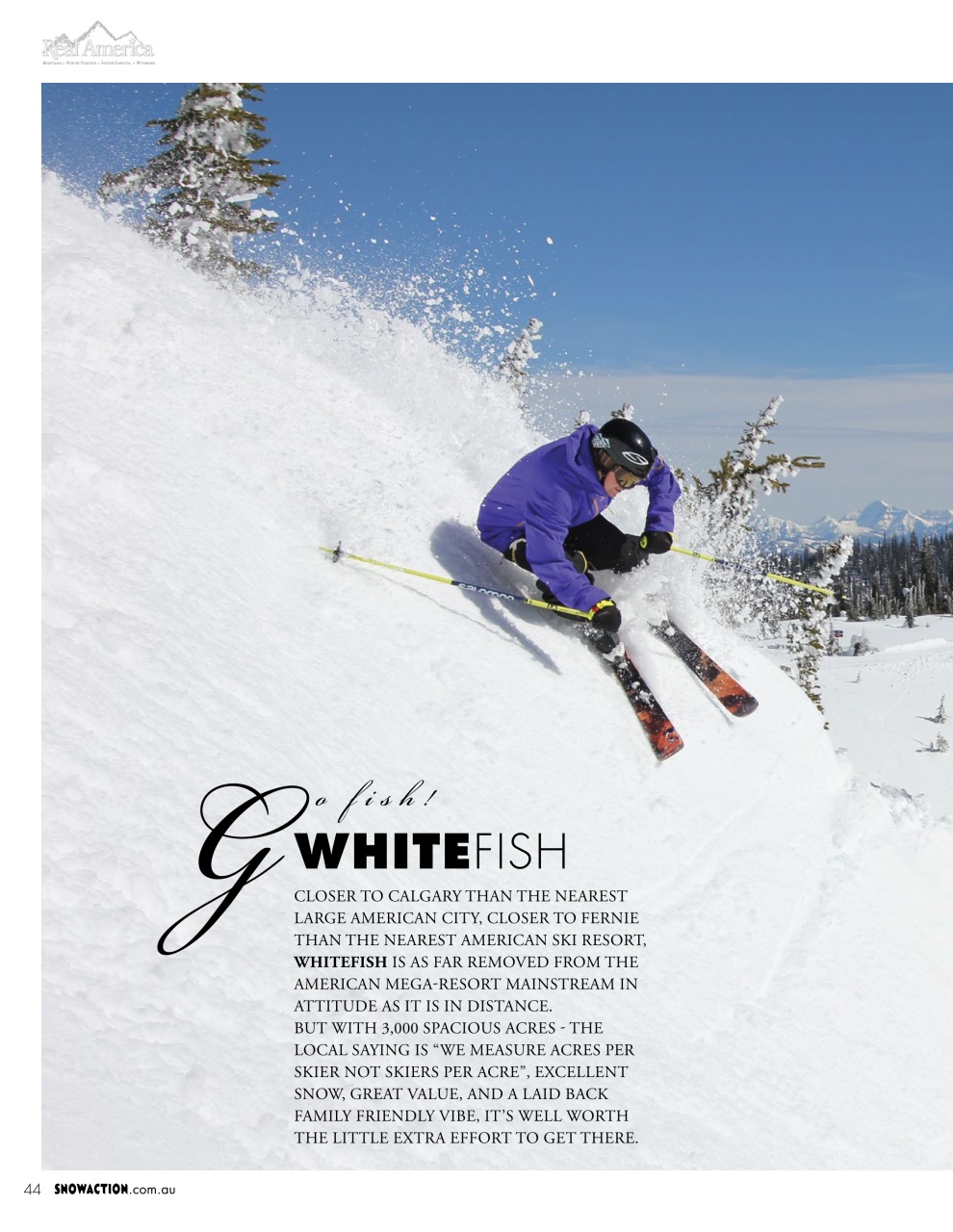 Snow Action Preview Pages