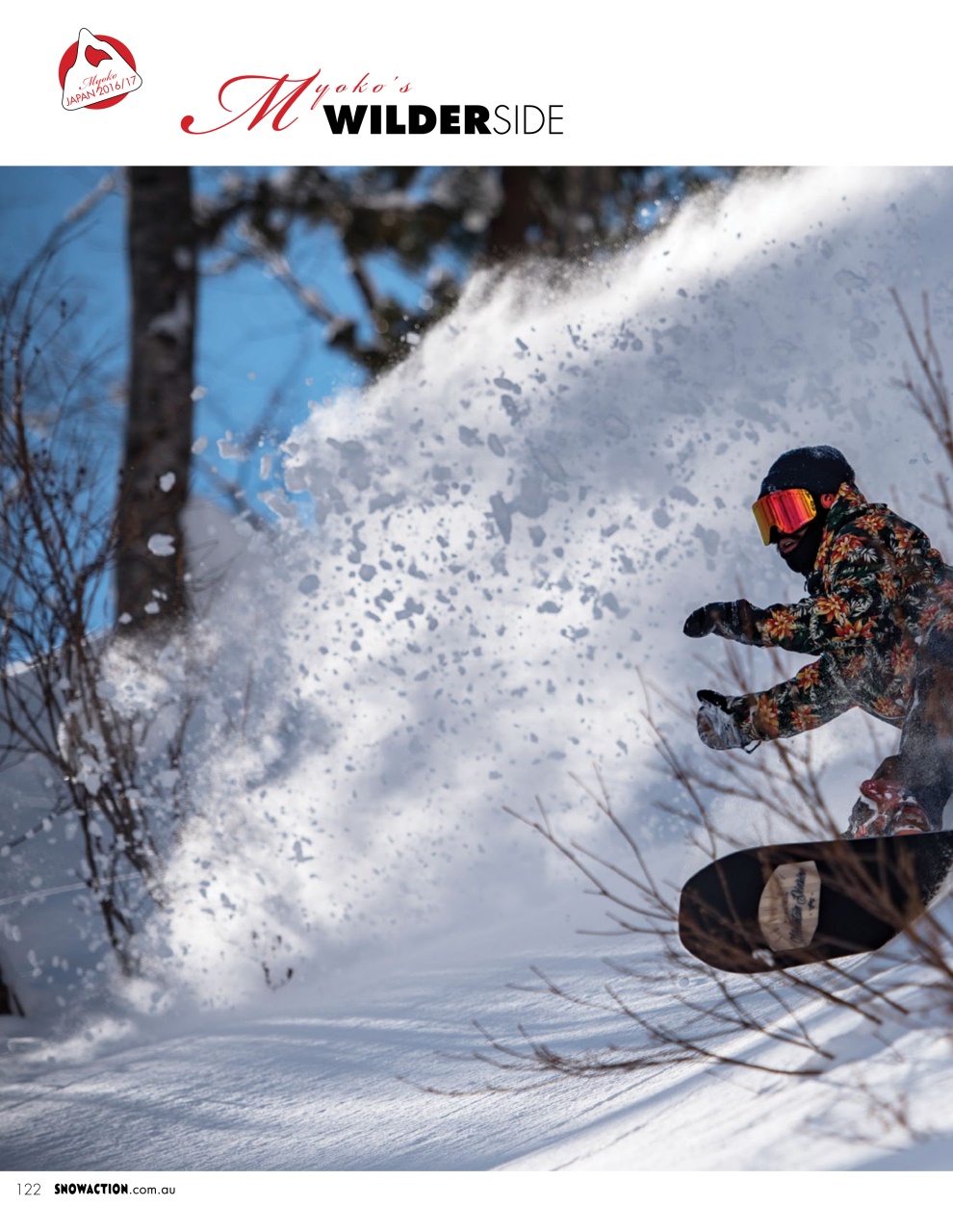 Snow Action Preview Pages