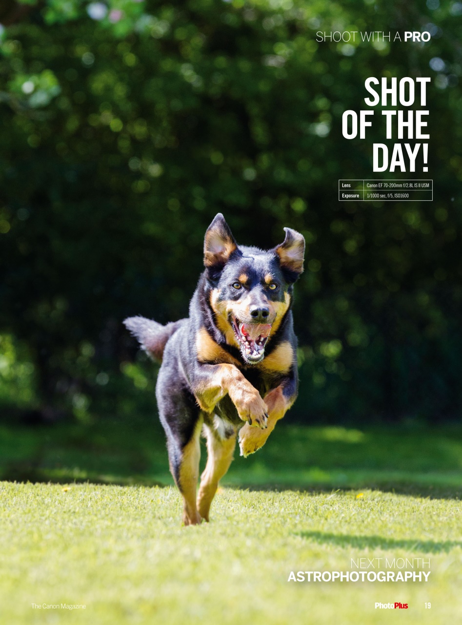PhotoPlus Preview Pages