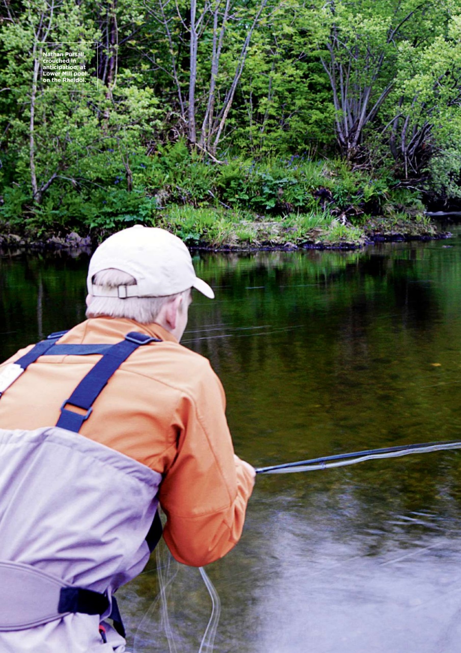 Trout & Salmon Preview Pages