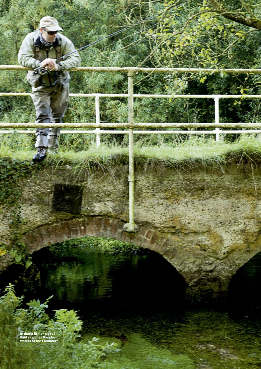 Trout & Salmon Preview Pages