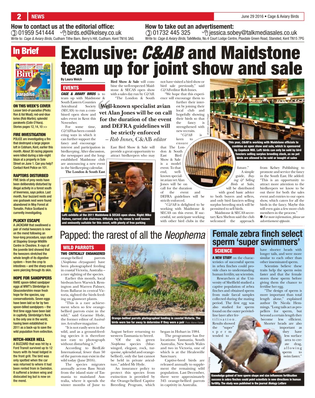 Cage & Aviary Birds Preview Pages