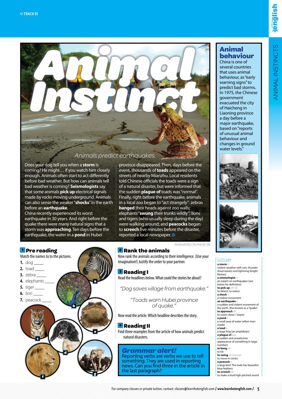 Learn Hot English Preview Pages