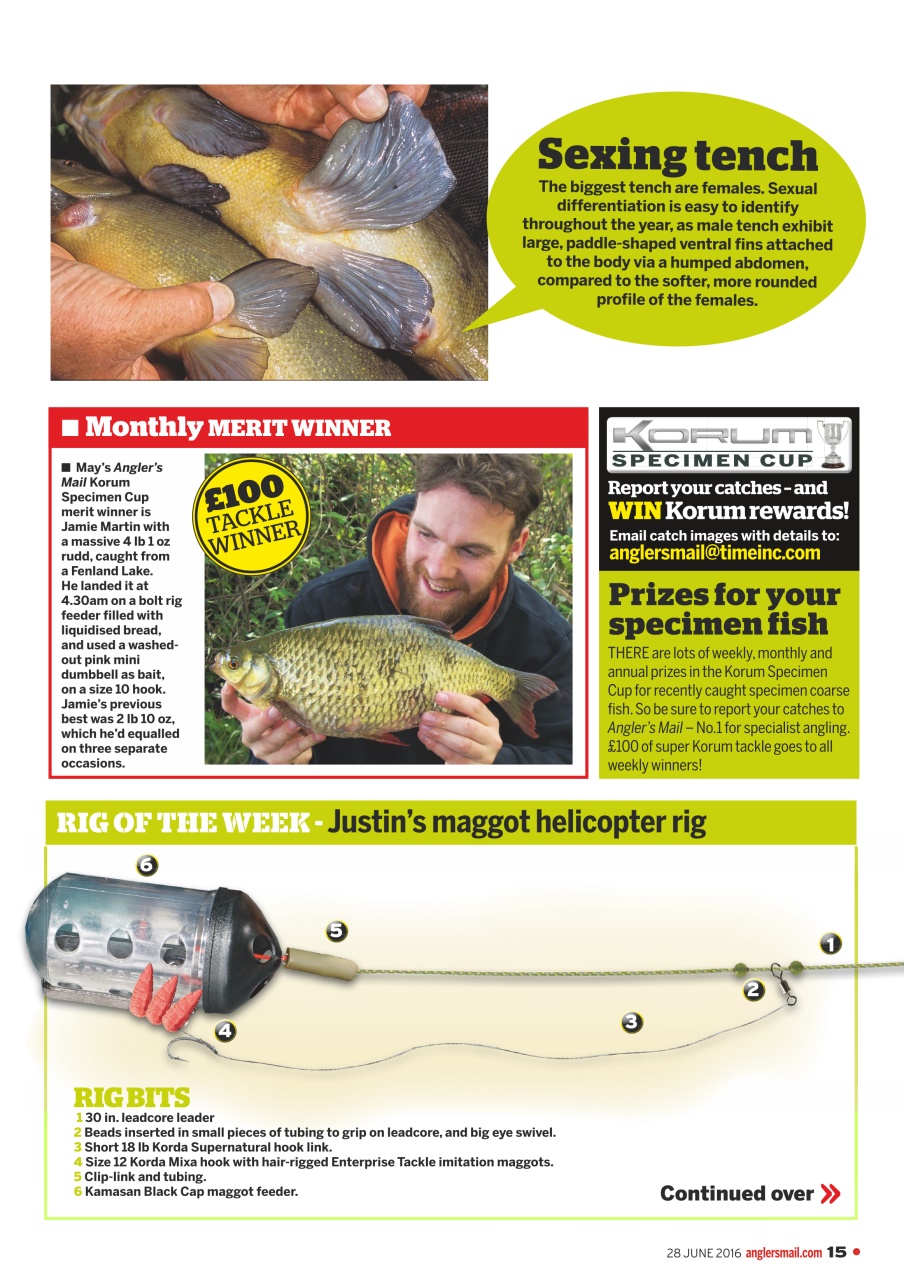 Anglers Mail Preview Pages