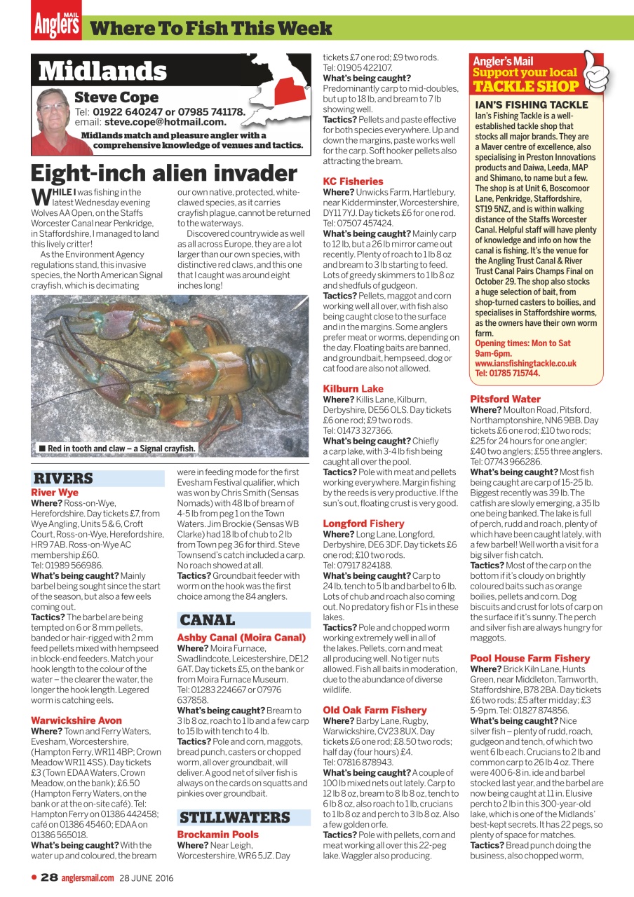 Anglers Mail Preview Pages