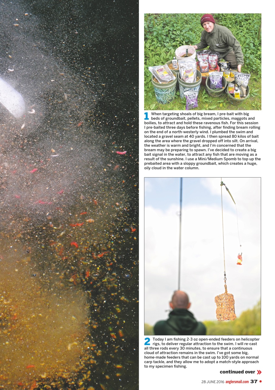 Anglers Mail Preview Pages