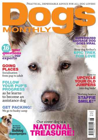 Dogs Monthly issue August 2016