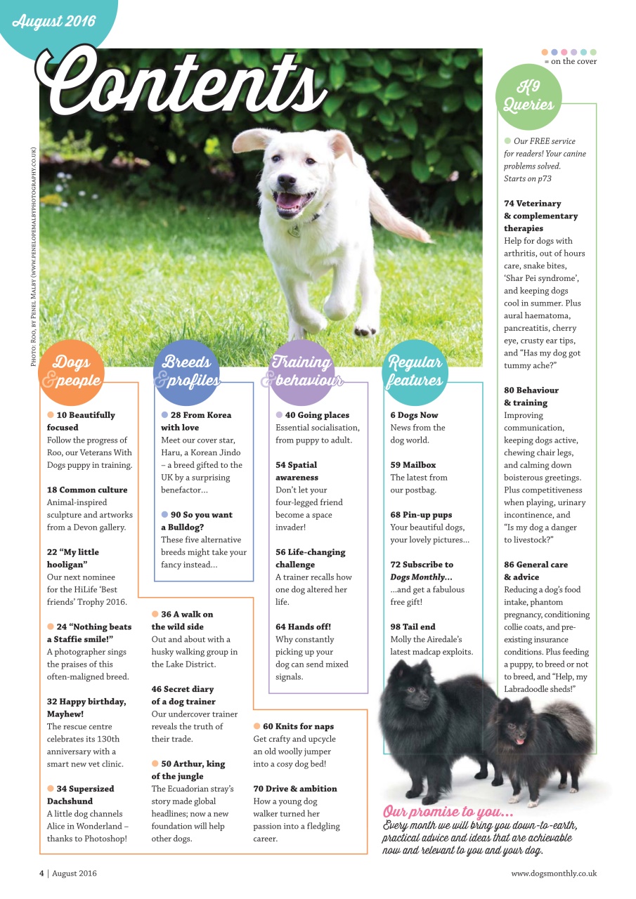 Dogs Monthly Preview Pages