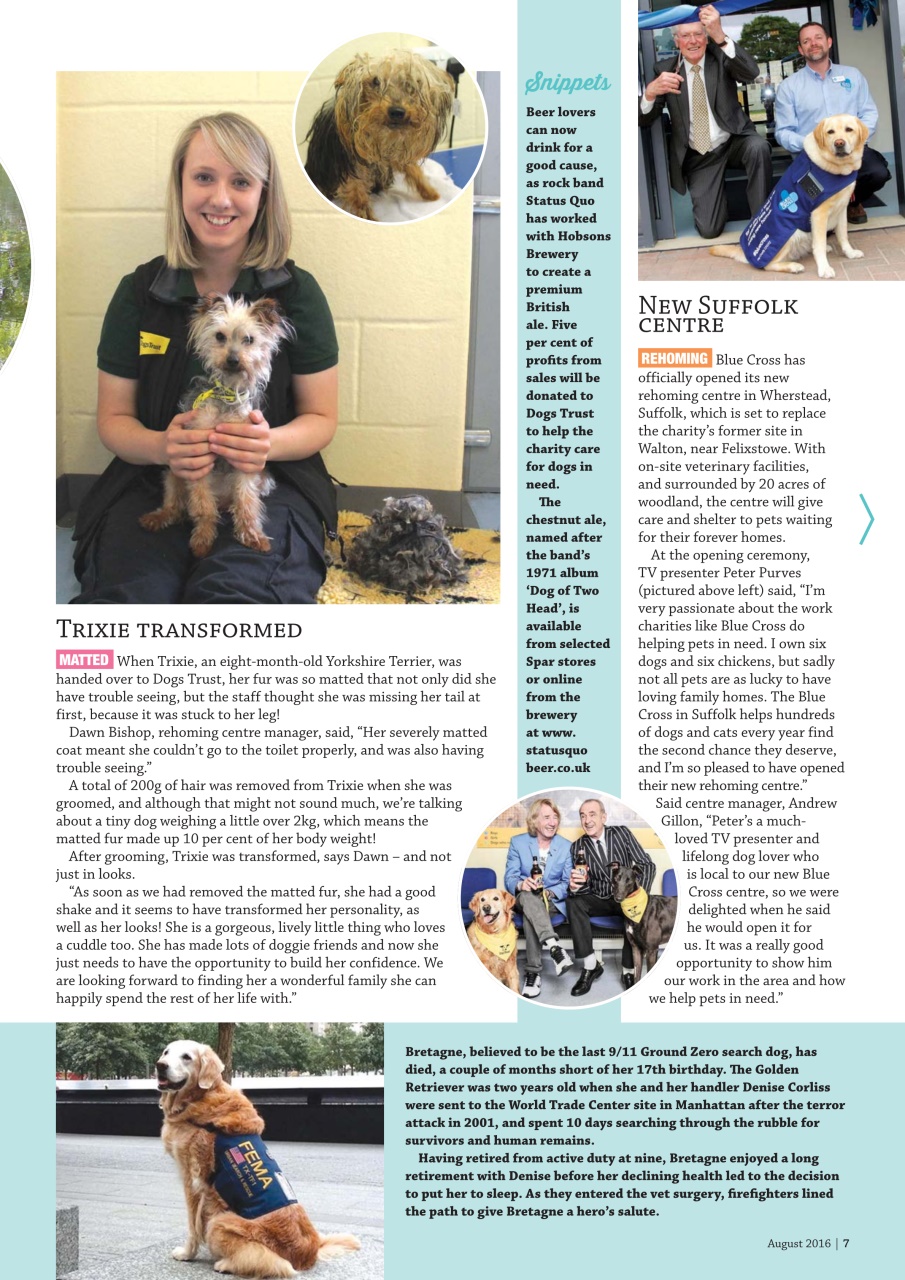 Dogs Monthly Preview Pages