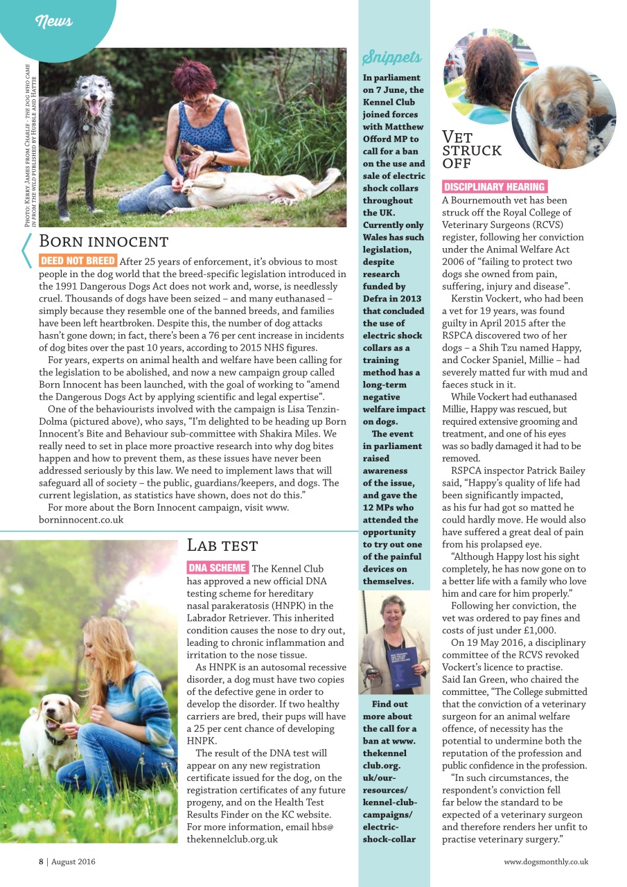 Dogs Monthly Preview Pages