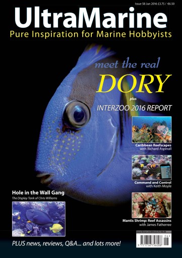 UltraMarine Magazine issue 