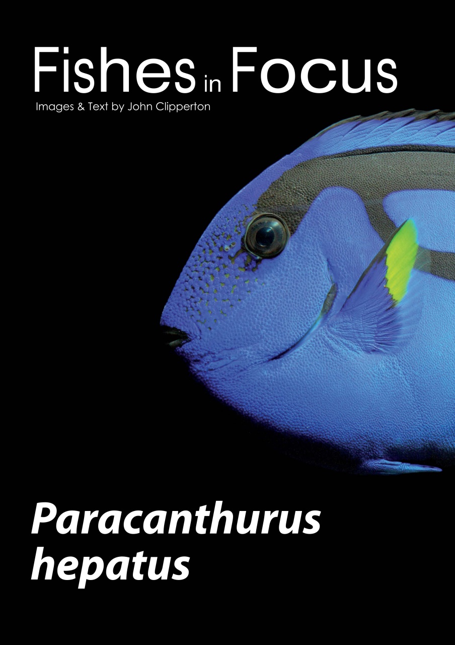 UltraMarine Magazine Preview Pages