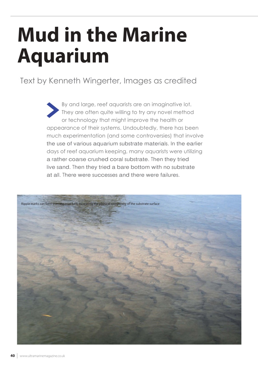 UltraMarine Magazine Preview Pages