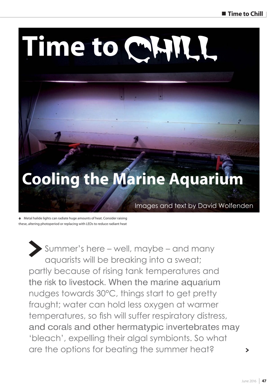 UltraMarine Magazine Preview Pages