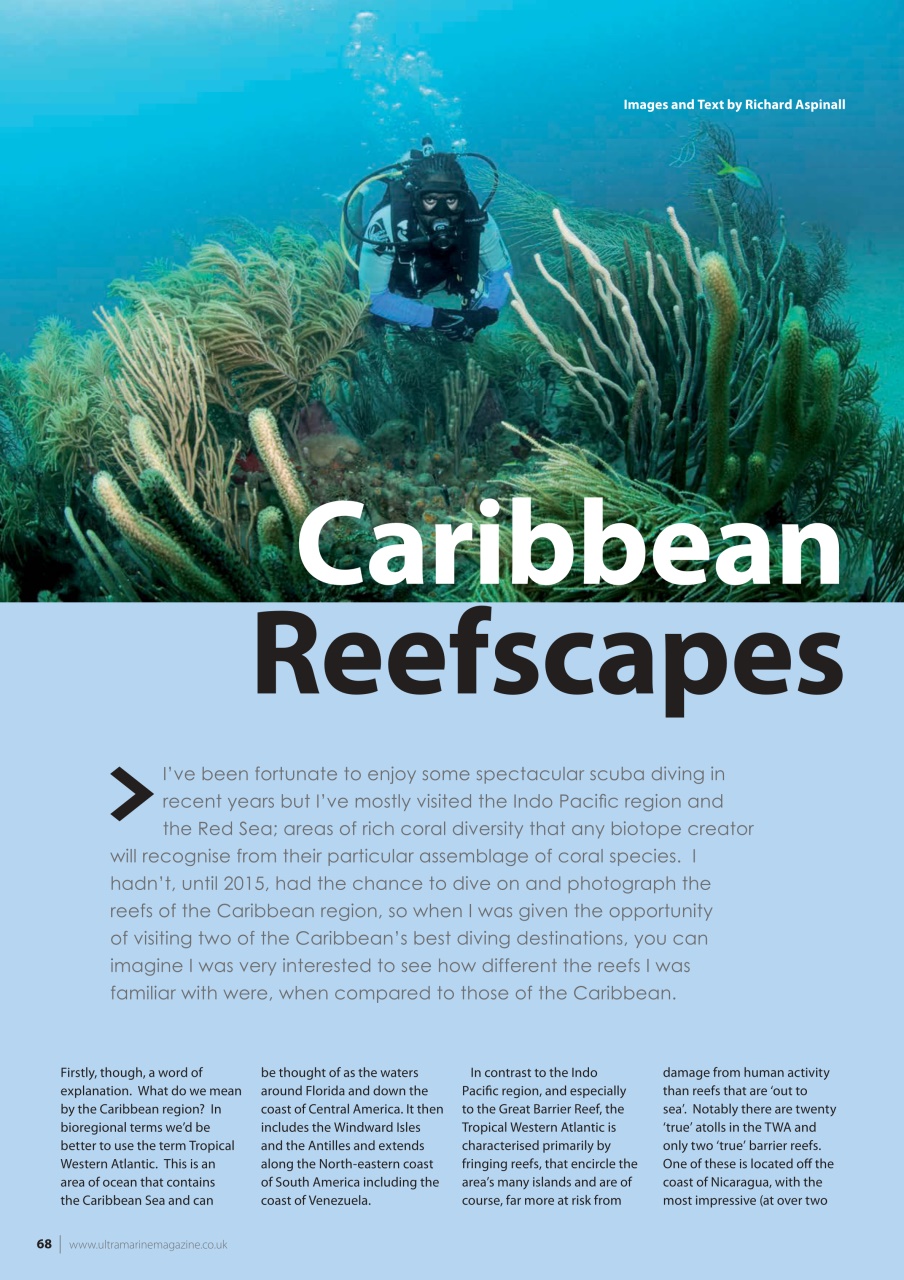 UltraMarine Magazine Preview Pages