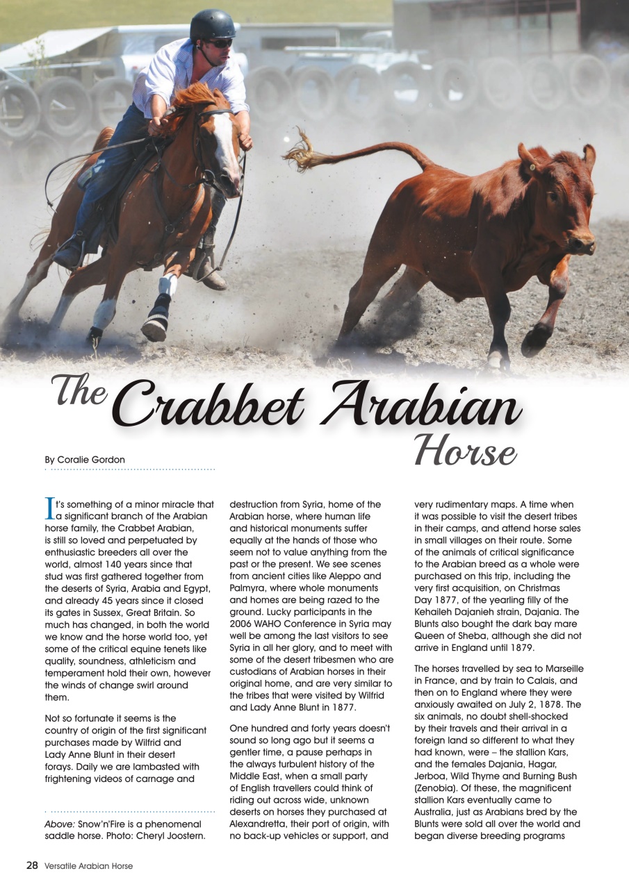 Australian Arabian Horse News Preview Pages