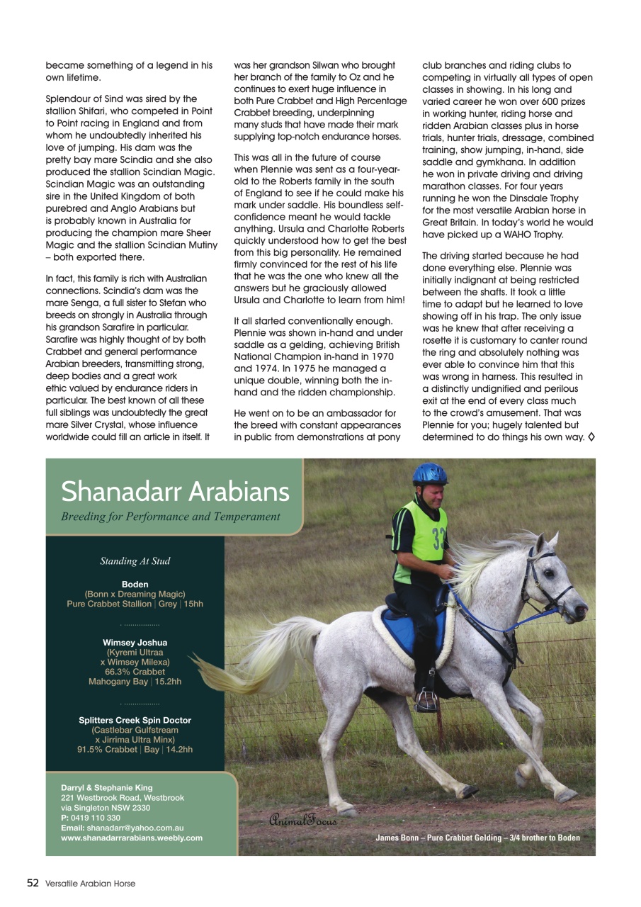 Australian Arabian Horse News Preview Pages