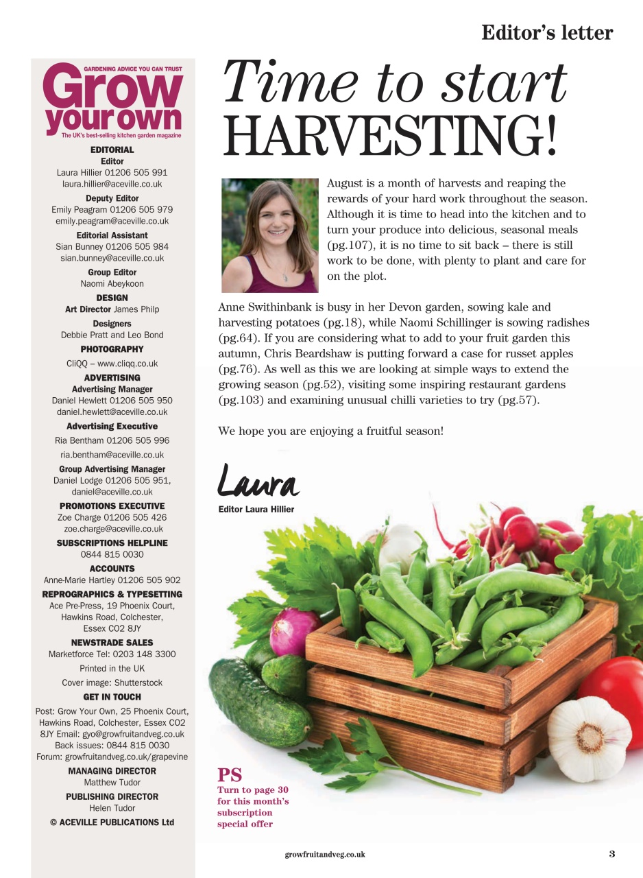 Grow Your Own Preview Pages