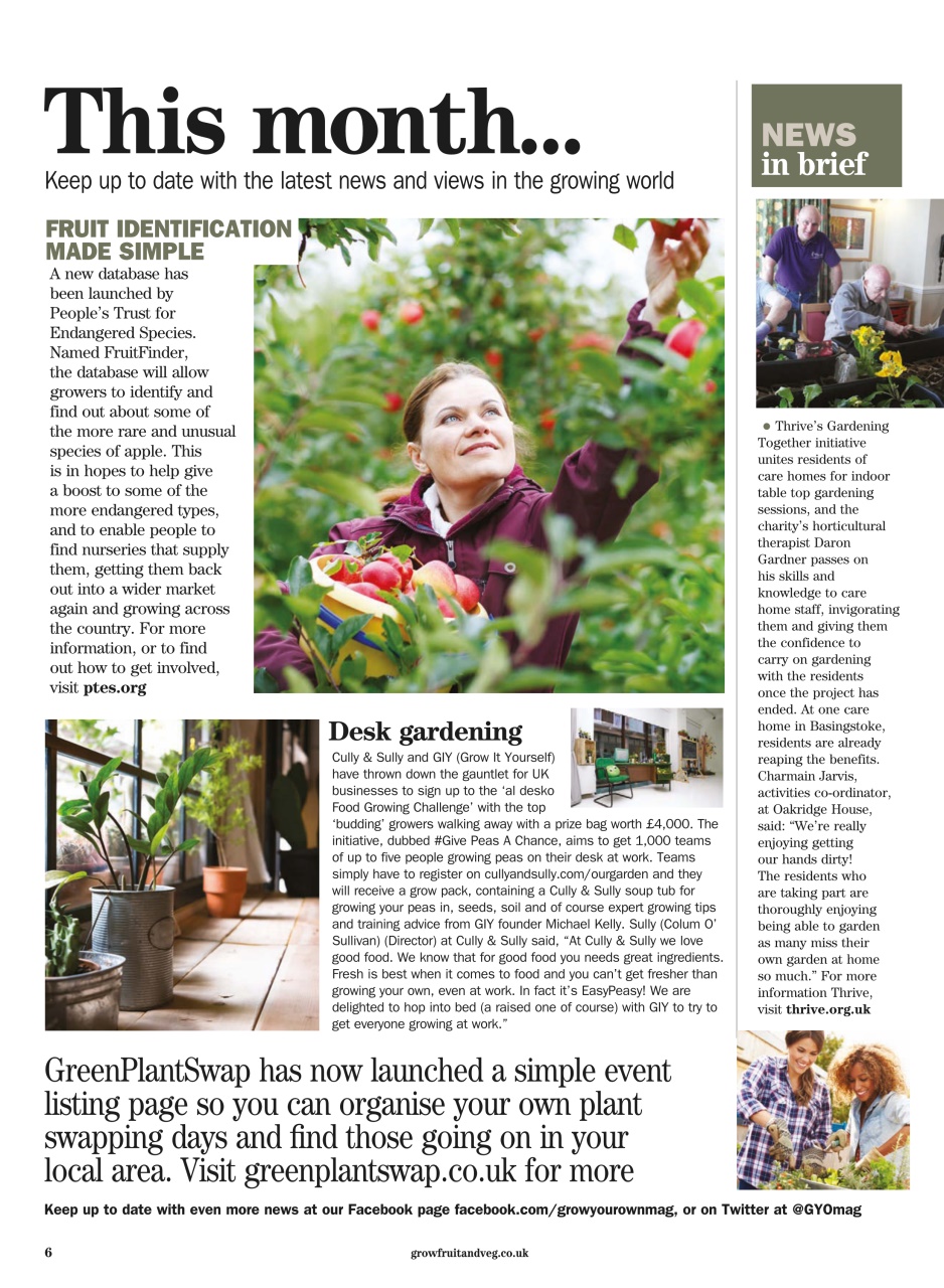 Grow Your Own Preview Pages