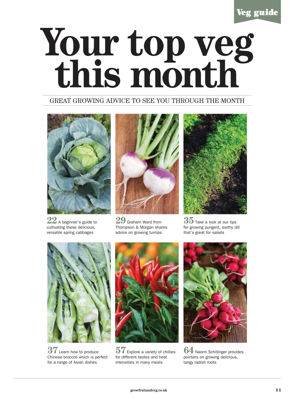 Grow Your Own Preview Pages